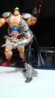 Shreeder (TMNT) (Teenage Mutant Ninja Turtles) Custom Action Figure
