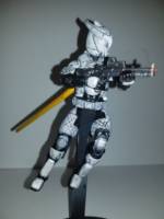 Destiny Titan (Destiny) Custom Action Figure