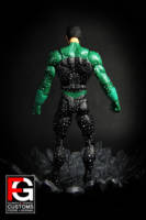 DC Ion (DC Universe) Custom Action Figure