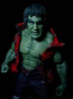 Lou Ferrigno Hulk (Hulk - Movie) Custom Action Figure