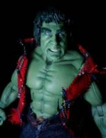 Lou Ferrigno Hulk (Hulk - Movie) Custom Action Figure