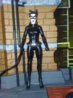Catwoman (Batman - Movie Style) Custom Action Figure