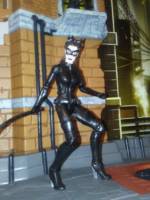 Catwoman (Batman - Movie Style) Custom Action Figure