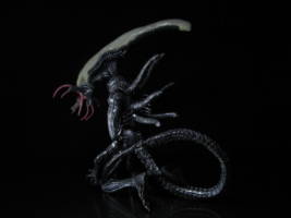 Abbeymorph (Aliens) Custom Action Figure