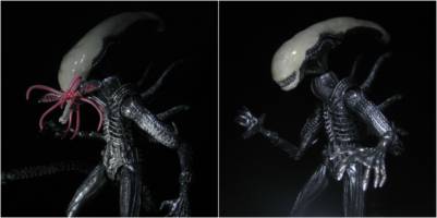 Abbeymorph (Aliens) Custom Action Figure
