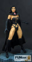 Marvel Legends Black Queen (Marvel Legends) Custom Action Figure