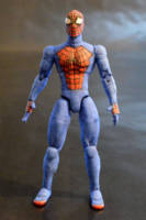 Spider-Man (Spider-Man) Custom Action Figure