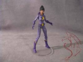 Jayna (DC Infinite Heroes) Custom Action Figure