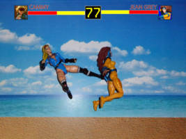 cammy (Street Fighter) Custom Action Figure