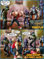 Bruce Leo .. In "Shells of Fury" (Teenage Mutant Ninja Turtles) Custom Action Figure