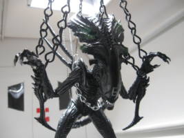 Xenomorph Praetorian (Alien vs Predator) Custom Action Figure