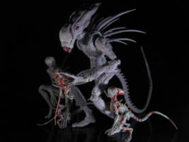 Neomorph Queen (Aliens) Custom Action Figure