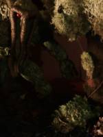 Mossy Tree (Marvel Legends) Custom Diorama / Playset