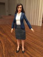 Lois Lane (DC Rebirth) (DC Universe) Custom Action Figure
