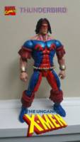 Xmen Thunderbird (Marvel Legends) Custom Action Figure