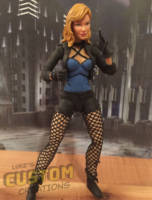Black Canary (DC Rebirth) (DC Universe) Custom Action Figure