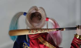 Harley Quinn Headsculpt Mod (Hot Toys) (Batman - Movie Style) Custom Action Figure