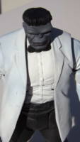 Wolverine and Hulk (Patch and Joe Fixit) (Marvel Legends) Custom Action Figure