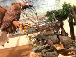 Gwaihir the Windlord (Lord of the Rings) Custom Action Figure