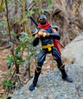 Hattori Hanzo (Samurai Shodown) Custom Action Figure