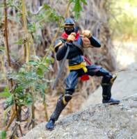 Hattori Hanzo (Samurai Shodown) Custom Action Figure