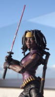 Michonne (The Walking Dead/ Image) (Marvel Legends) Custom Action Figure