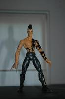 Daken (Wolverine's Son) (Marvel Legends) Custom Action Figure