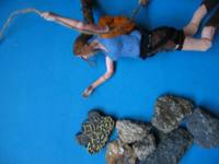 Lara Croft (Tomb Raider) Custom Action Figure