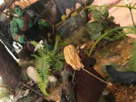 Thorgrimm Shattershield (Dwarven Ranger) (Dungeons and Dragons) Custom Action Figure