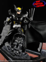 Dark Claw (Amalgam Comics) (Amalgam) Custom Action Figure