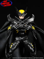 Dark Claw (Amalgam Comics) (Amalgam) Custom Action Figure