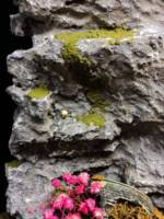 Flowers Blooming in a Barrel (Original) Custom Diorama / Playset