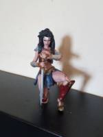 Wonder Woman (Wonder Woman) Custom Action Figure