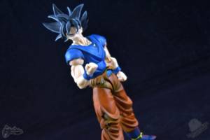 S.H.Figuarts Ultra Instinct Goku (Dragonball Z) Custom Action Figure