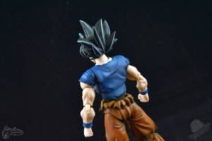 S.H.Figuarts Ultra Instinct Goku (Dragonball Z) Custom Action Figure