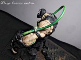 Bane (DC Universe) Custom Action Figure