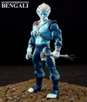 Bengali (Thundercats/MOTUC) (Thundercats) Custom Action Figure