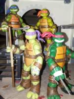 Teenage Mutant Ninja Turtles (Teenage Mutant Ninja Turtles) Custom Action Figure