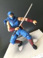 Ryu Hayabusa (Ninja Gaiden) Custom Action Figure
