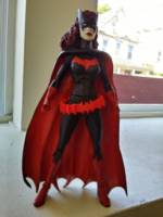 Bat Family (DC Universe) Custom Action Figure