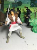 Kiyoshi Tanaka / Samurai (Forgotten Realms of Fantasy) Custom Action Figure