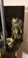 Xenomorph Queen, eggs, and facehugger victim (Aliens) Custom Diorama / Playset