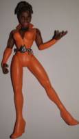 Vixen (Total Justice) Custom Action Figure