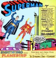 Superman: Nightwing & Flamebird (DC Direct) Custom Action Figure [Superman: Nightwing & Flamebird]