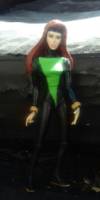 X men evolution (X-Men) Custom Action Figure