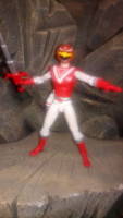 S.H. Figuarts Red Falcon (Power Rangers) Custom Action Figure