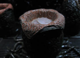 Embryonic Xenomorph egg (Aliens) Custom Miniature / Figurine