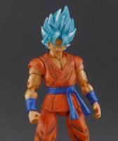 Goku Super Saiyan God (Dragonball Z) Custom Action Figure