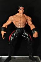 Liu Kang & Kitana (Mortal Kombat) Custom Action Figure