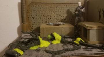 Blown Apart Xenomorph (Aliens) Custom Action Figure